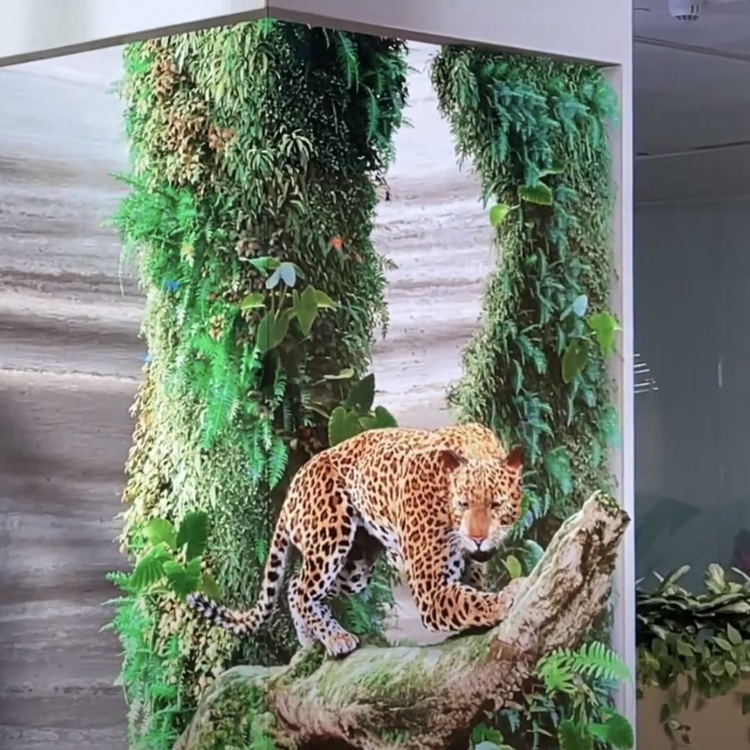 3D display of Asian Wildlife in airport