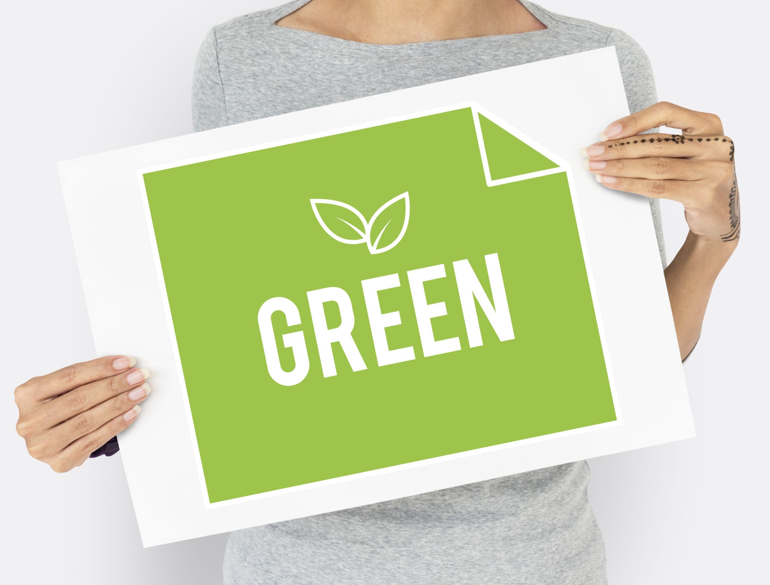 Sustainable Signage Solutions: Eco-Friendly Practices in the Sign Industry